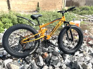 Fat Bicycle