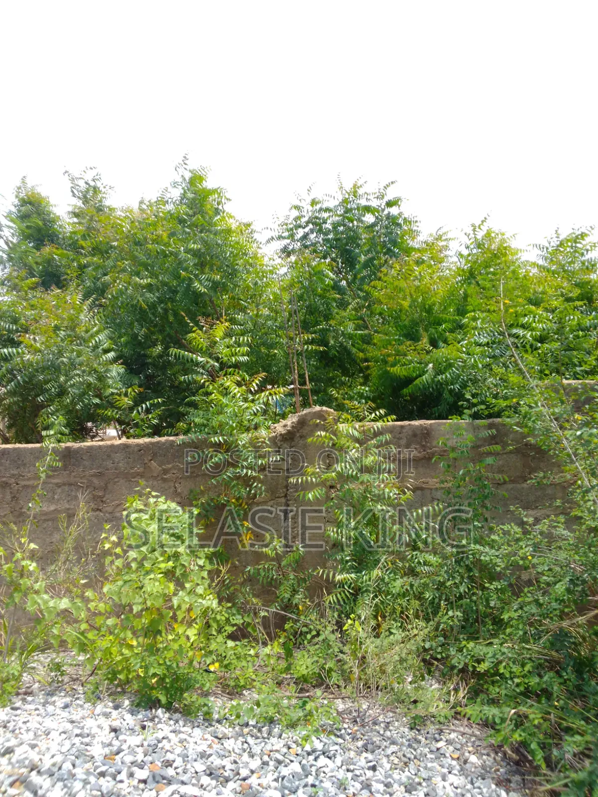 Plots of Land for Sale at Bawaleshie