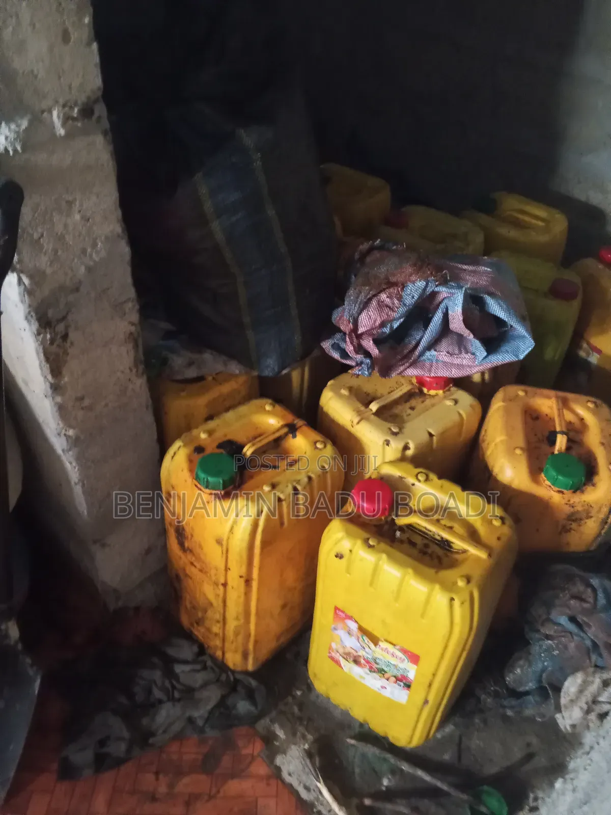 Palm Kennel Oil
