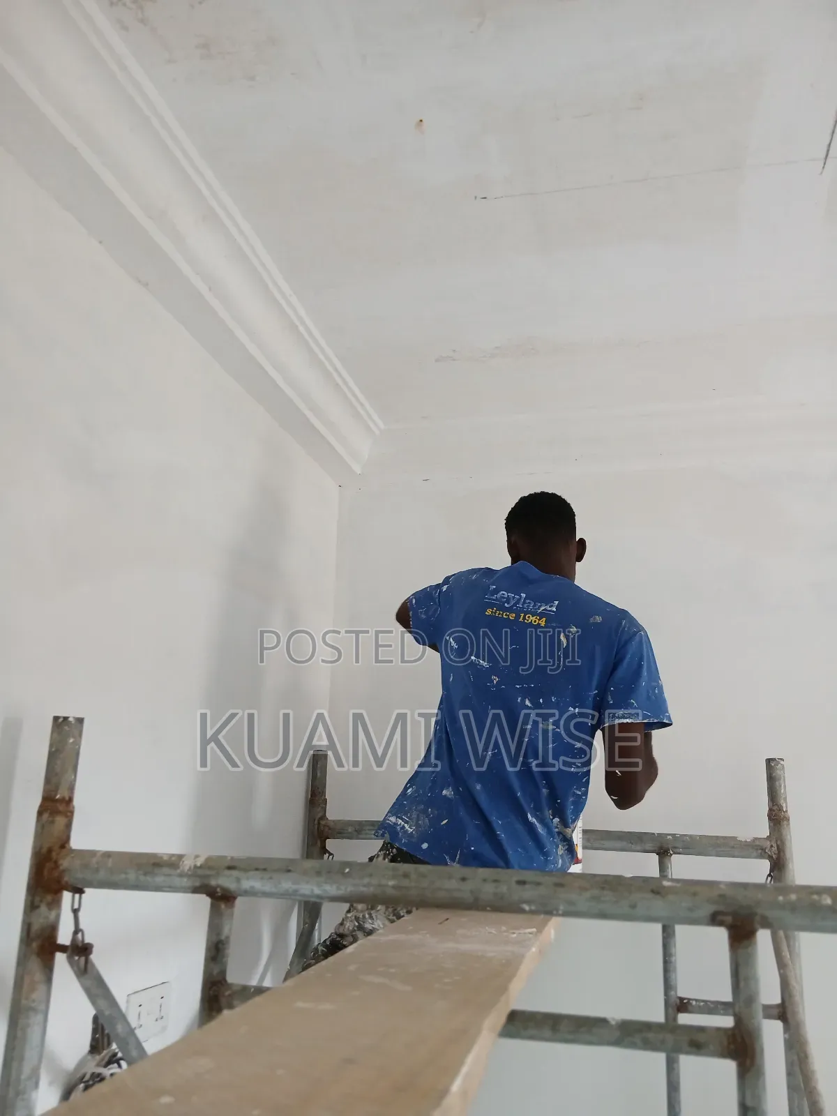 Painting and Designs