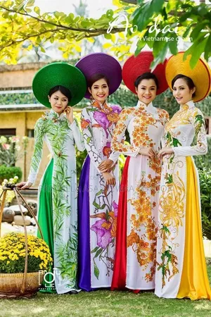 Vietnam Costumes