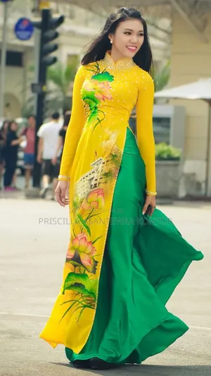 Vietnam Costumes