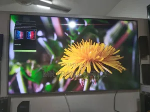 Samsung 65inches Qled
