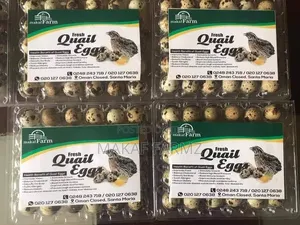 Quail Eggs
