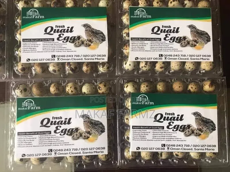 Quail Eggs