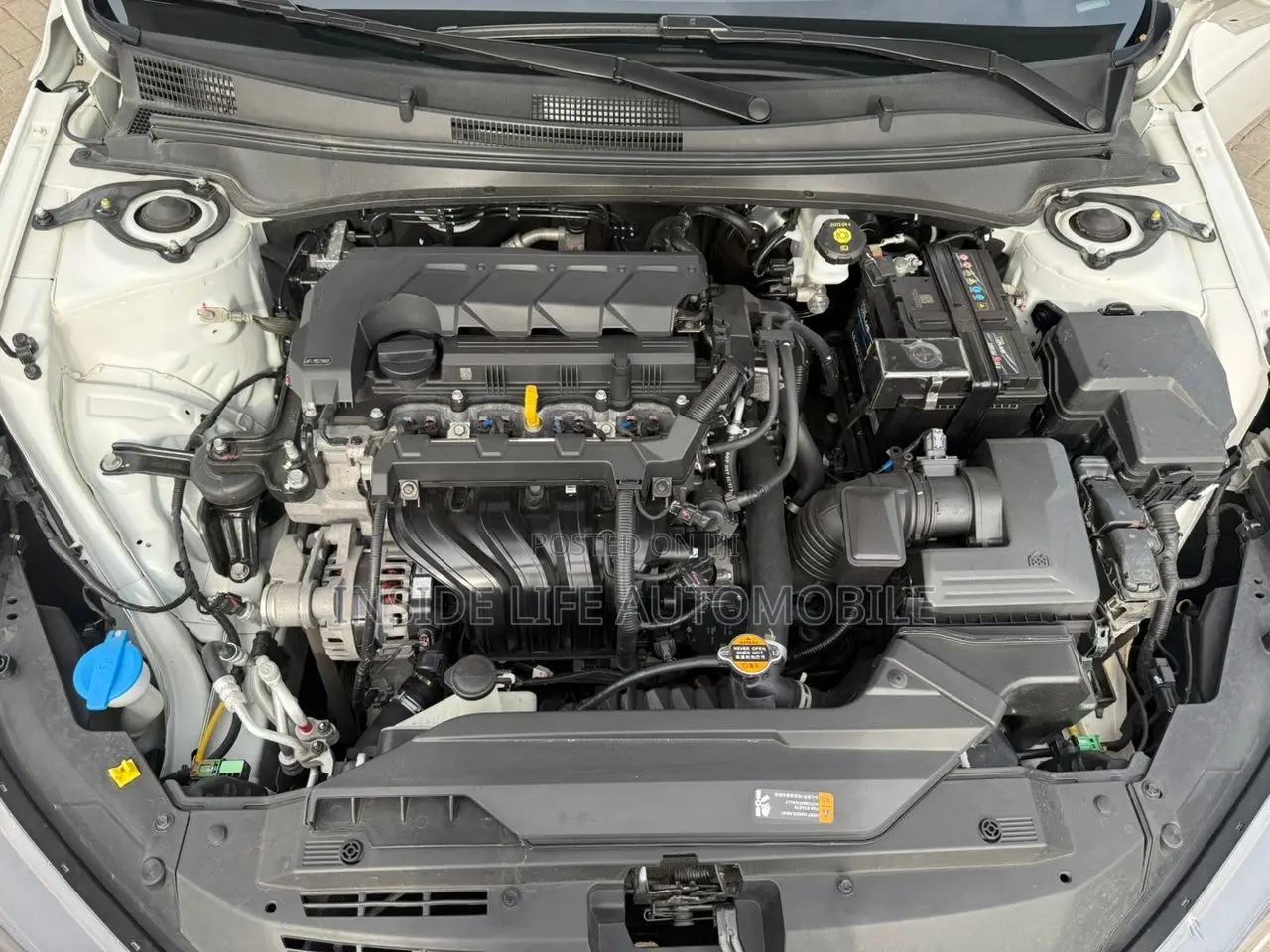 Hyundai Elantra 2023 White