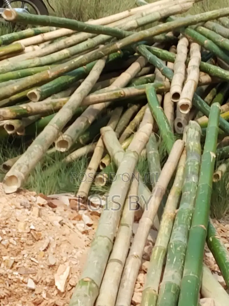 Wood for Decking