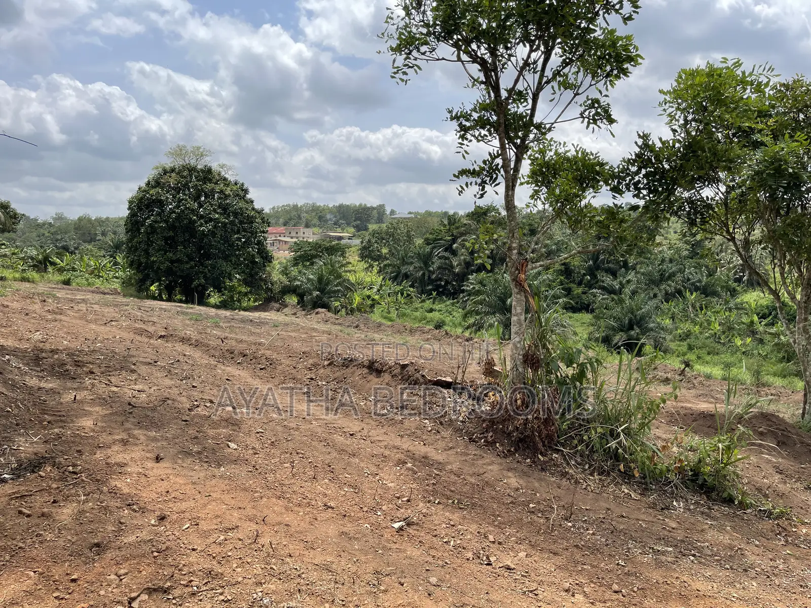Land for Sale