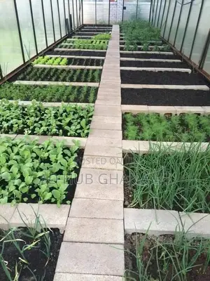 Best Garden Design, Maintenance Services