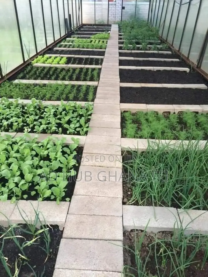 Best Garden Design, Maintenance Services