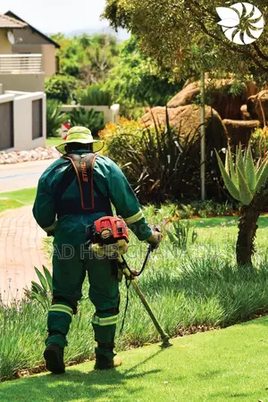 Best Garden Design, Maintenance Services