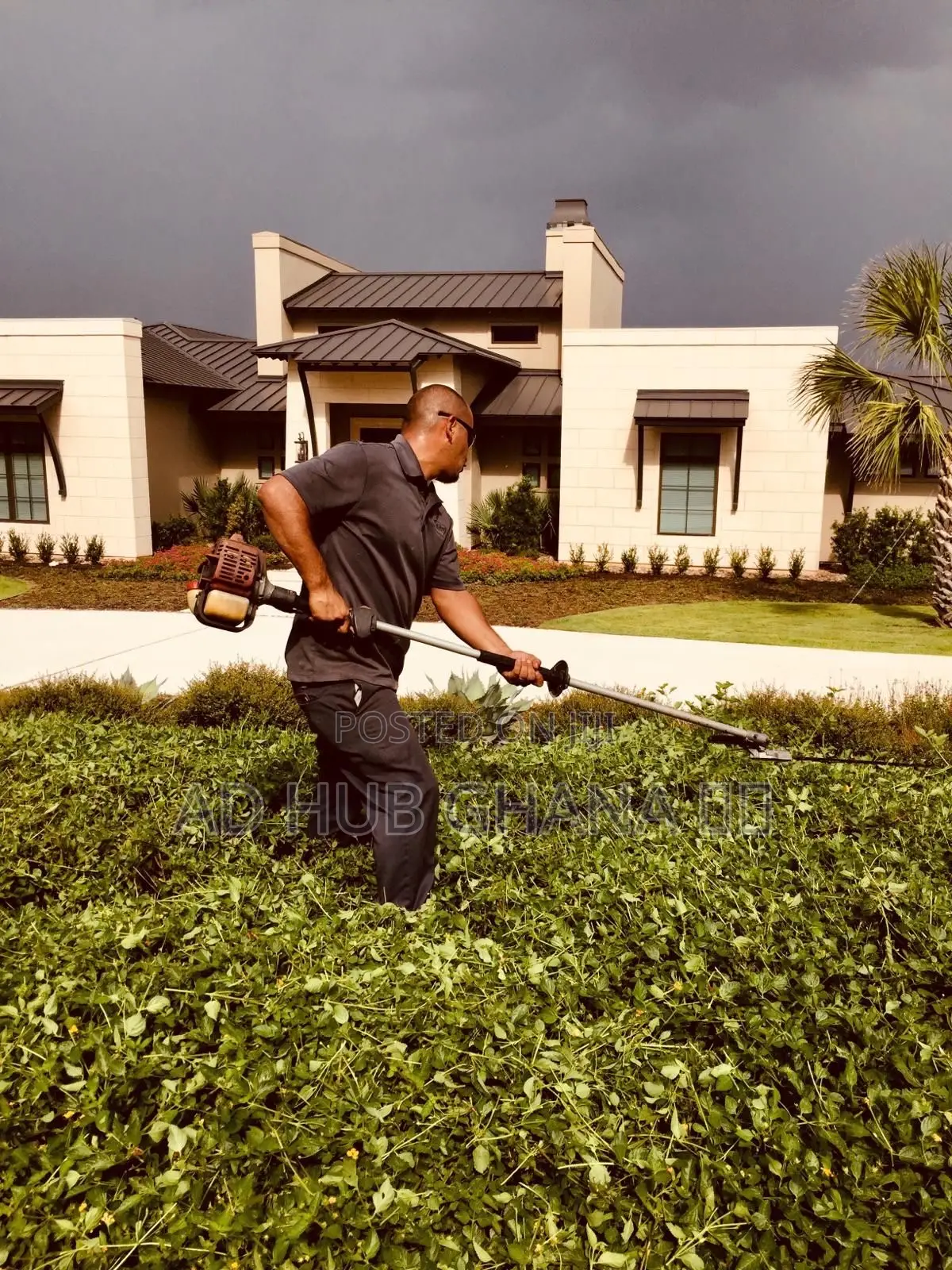 Best Garden Design, Maintenance Services