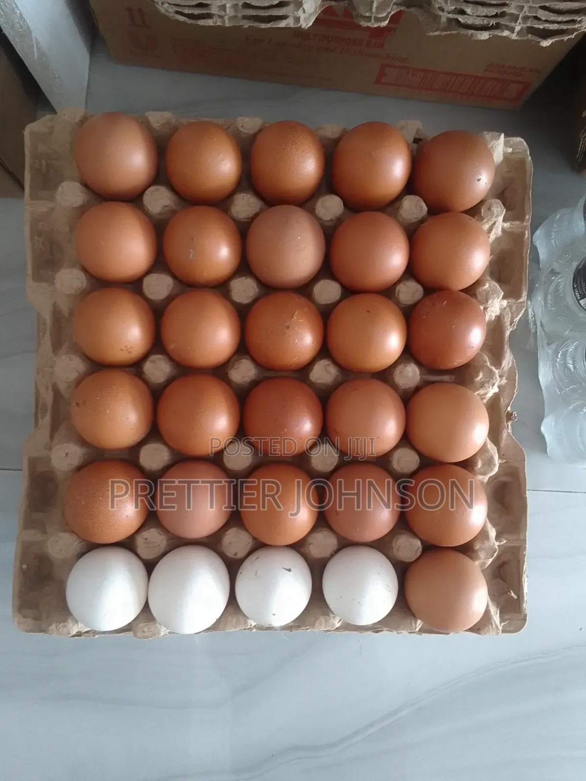 Fresh Eggs