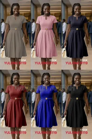 Classy Flare Dress