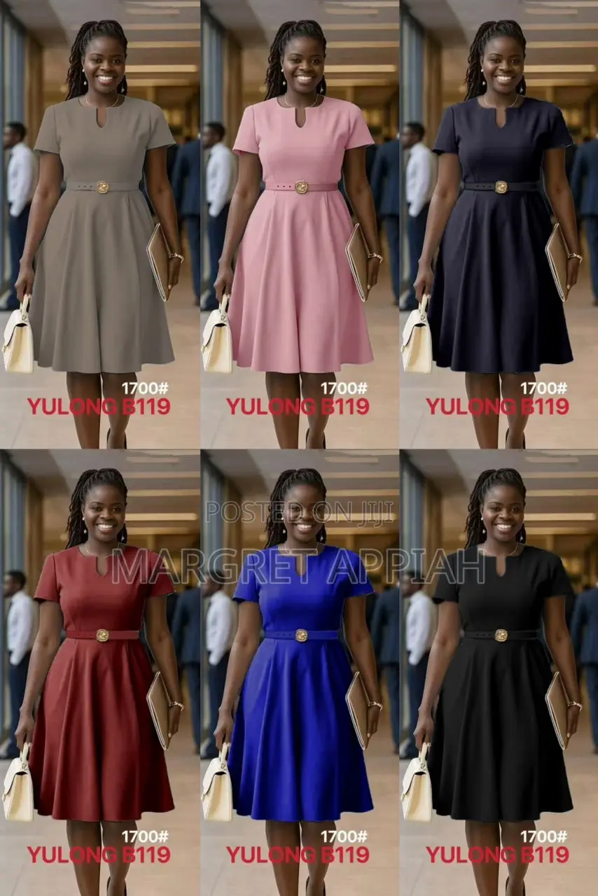 Classy Flare Dress