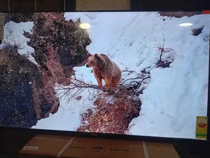 Sigma 55” Full Hd Tv – Sharp Vibrant Display