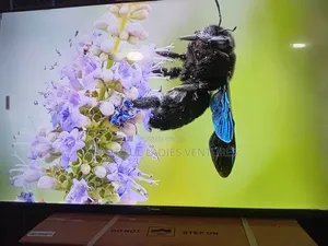 Sigma 55” Led Tv – Clear Sound Stunning Visuals