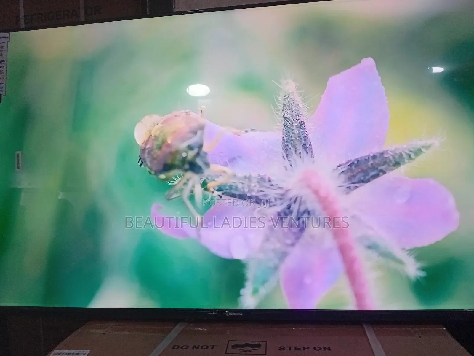 Sigma 55-Inch Tv – Premium Viewing Experience