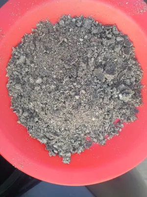 Palm Kennel Cake (Pkc)