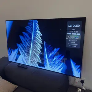 Lg Oled 55b4