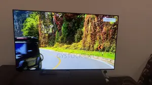 Lg Oled 55b4