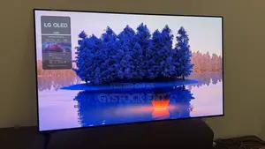 Lg Oled 55b4