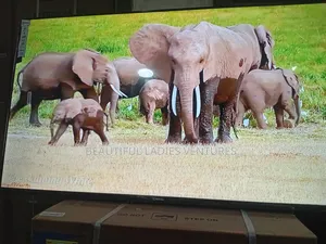 Sigma 55-Inch Smart Tv – Smart Living Made Easy