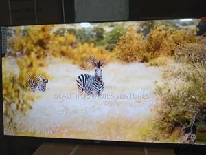 Sigma 55-Inch Uhd Tv – Clear, Bright Bold