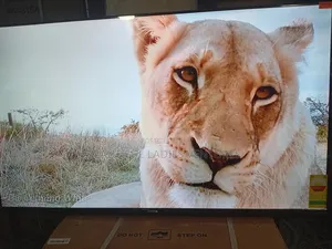 Sigma 55-Inch Tv – Powerful Performance Display