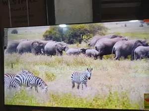 Sigma 55-Inch Tv – Powerful Performance Display