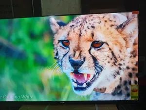 Sigma 55-Inch Led Tv – High Definition Clarity