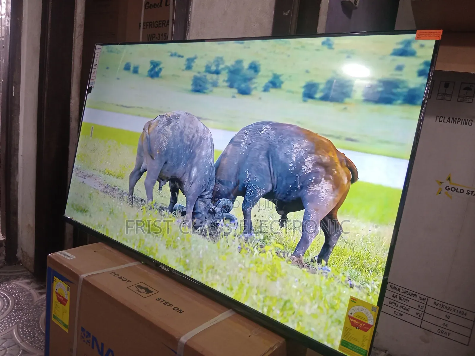 Sigma 55 Uhd Tv Glow, Tv That Shines Every Day.