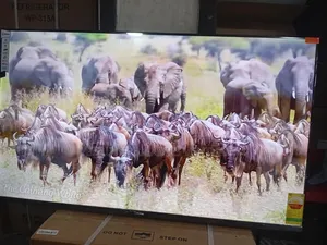 Sigma 55” Tv – Exceptional Picture Quality