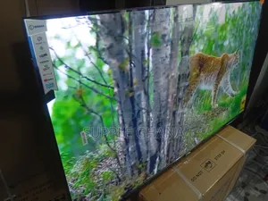Sigma 55” Smart Television – Ultra Clear Entertainment Hub