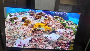 Sigma 55-Inch Smart Uhd Tv – Crystal Clear Entertainment