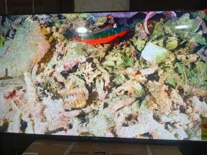 Sigma 55” Led Smart Tv – Bright Beautiful Display