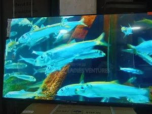 Sigma 55-Inch Smart Tv – Ultimate Home Entertainment