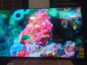 Sigma 55” Tv – High Quality, Affordable Luxury