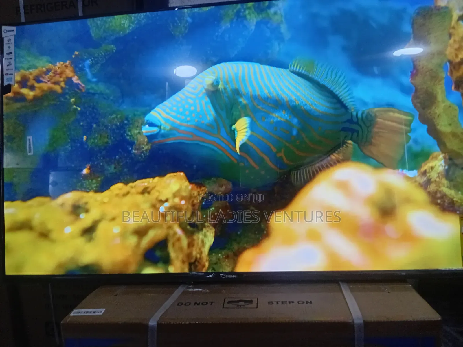 Sigma 55” Tv – High Quality, Affordable Luxury