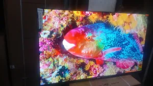 Adonai Visions Television Sigma 55inches Television