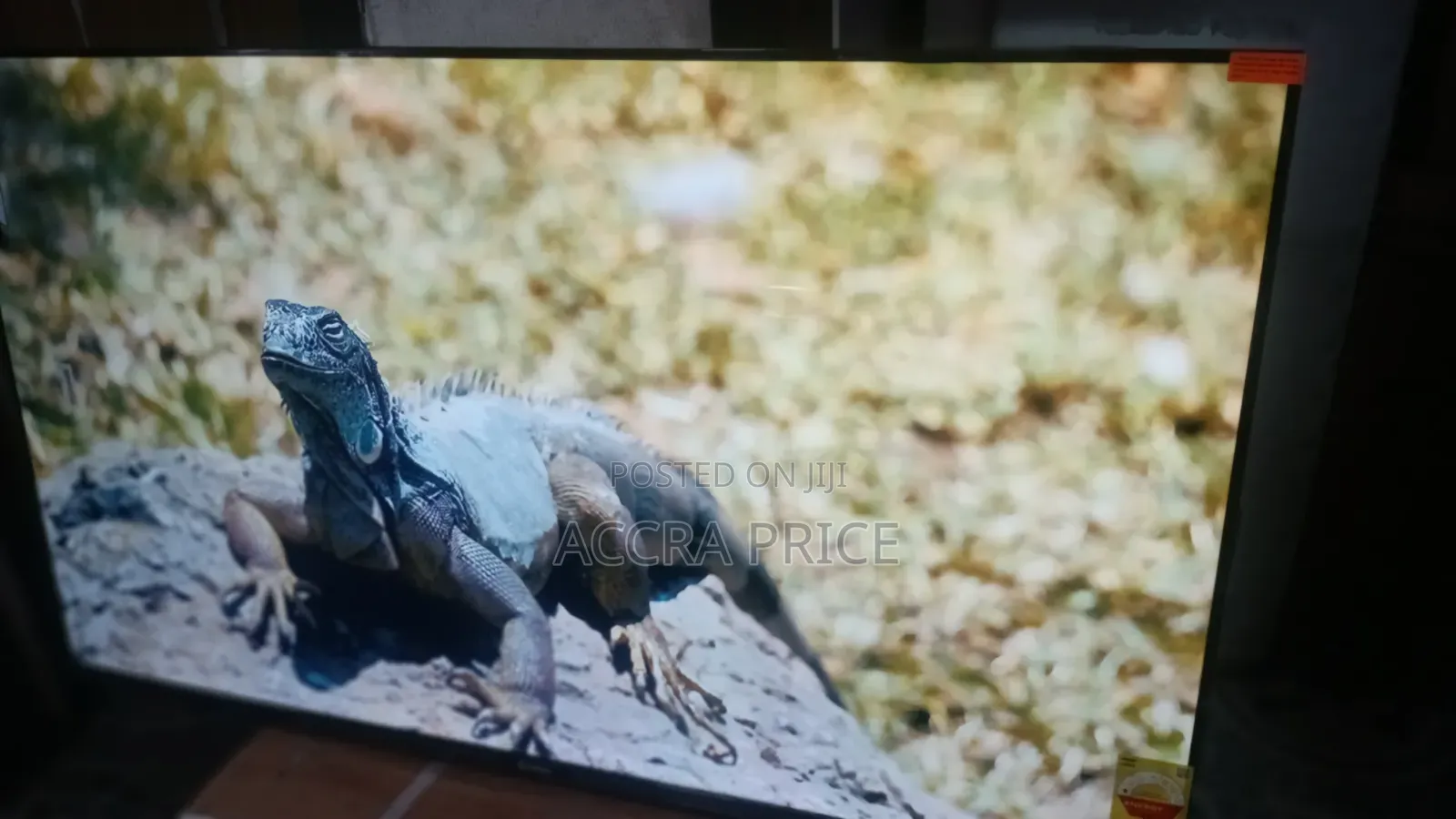 Astonishing World Televisions Sigma 55inches Televisions