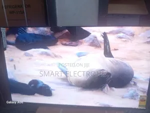 Sigma 55-Inch Smart Tv – Bold, Bright, Beautiful