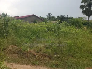 6 Plots of Land With 2 Rooms on It. Close to Main Road.