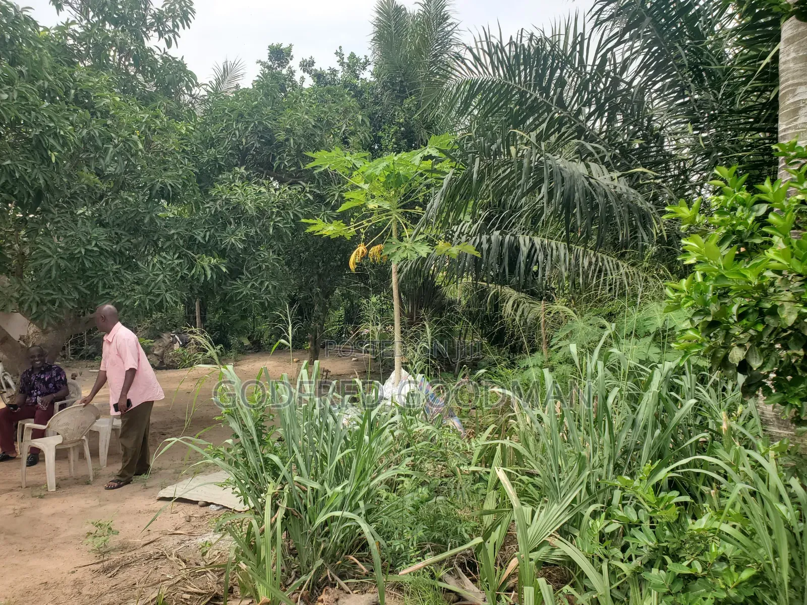 6 Plots of Land With 2 Rooms on It. Close to Main Road.