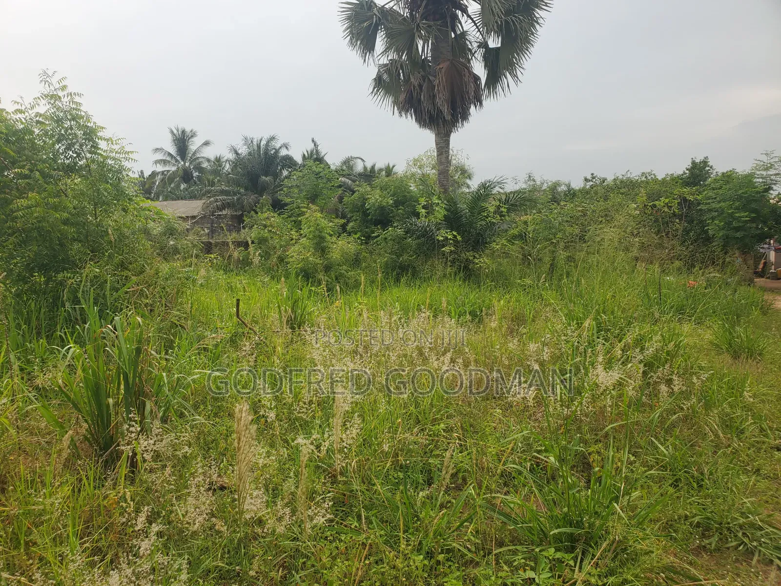 6 Plots of Land With 2 Rooms on It. Close to Main Road.