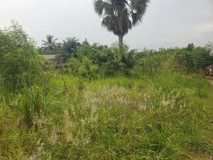 6 Plots of Land With 2 Rooms on It. Close to Main Road.