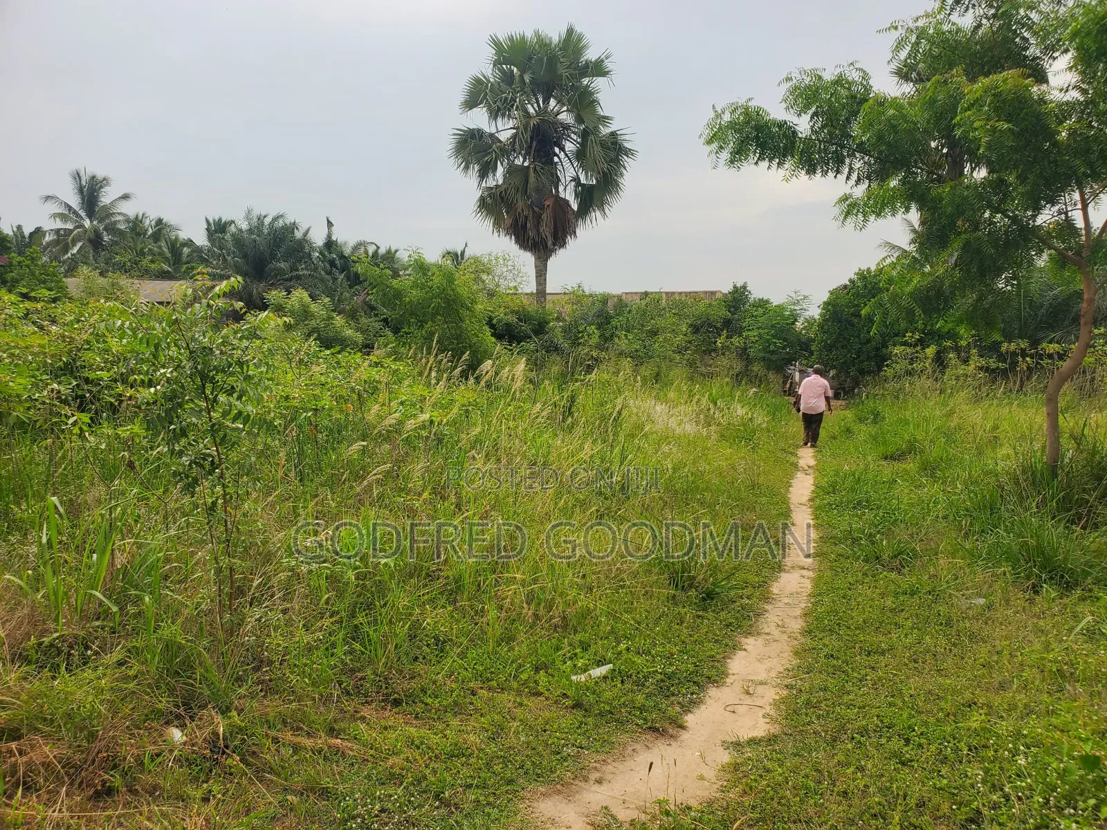 6 Plots of Land With 2 Rooms on It. Close to Main Road.