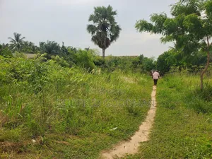 6 Plots of Land With 2 Rooms on It. Close to Main Road.