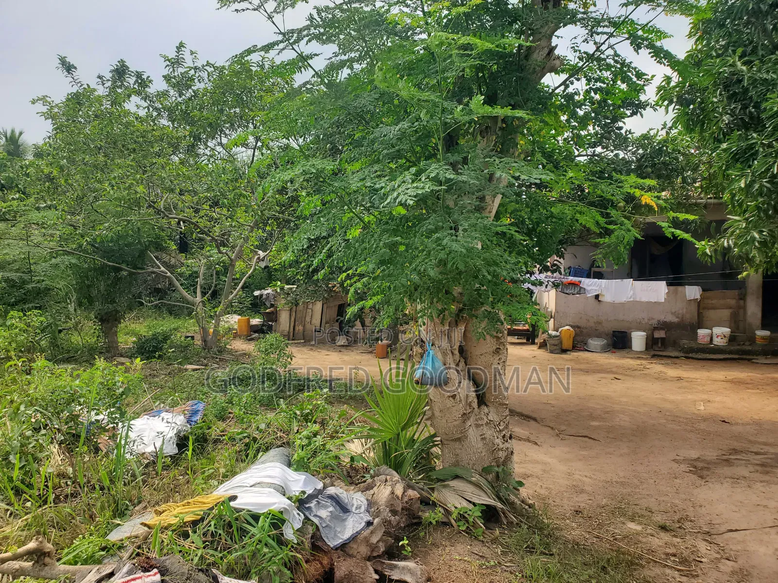 6 Plots of Land With 2 Rooms on It. Close to Main Road.