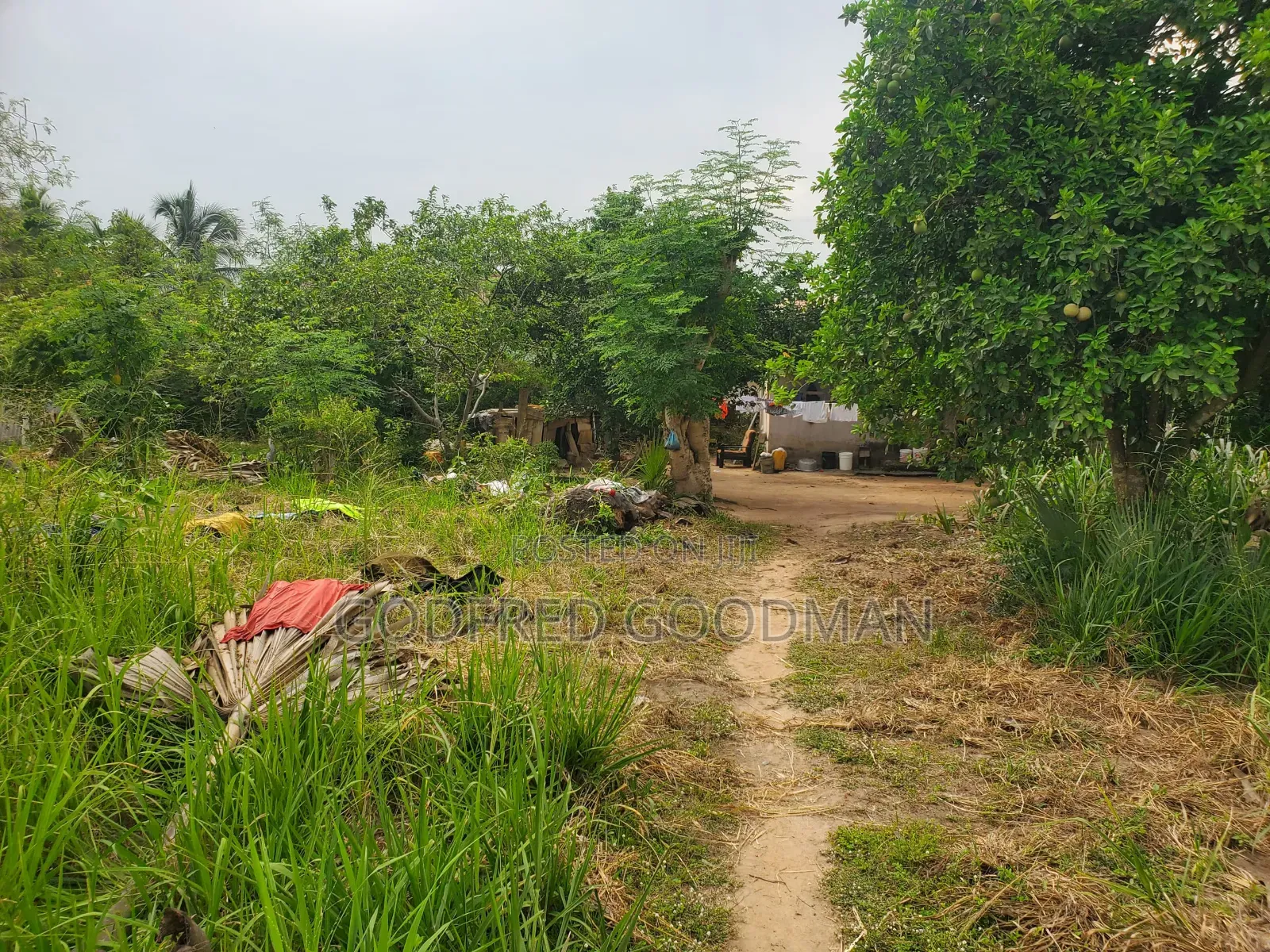 6 Plots of Land With 2 Rooms on It. Close to Main Road.